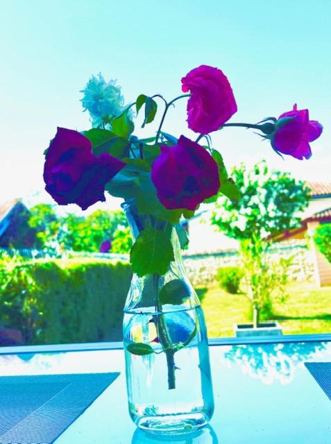 Photo of Others in Espalais