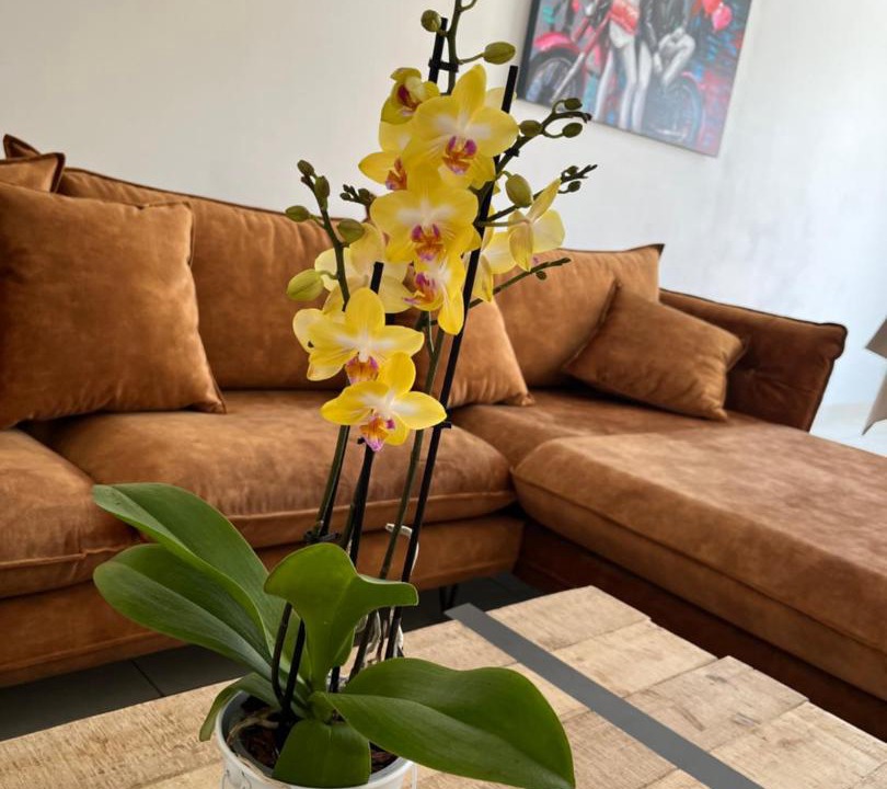 Photo of Livingroom in Malbosc