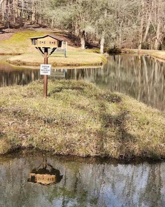 Photo of Others in Dahlonega