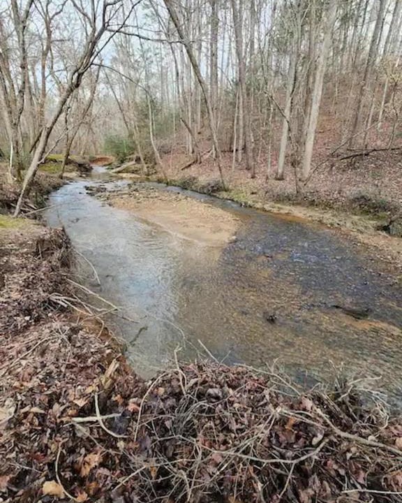 Photo of Others in Dahlonega