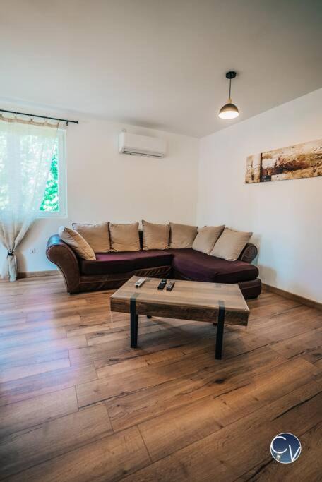 Photo of Livingroom in Goudargues