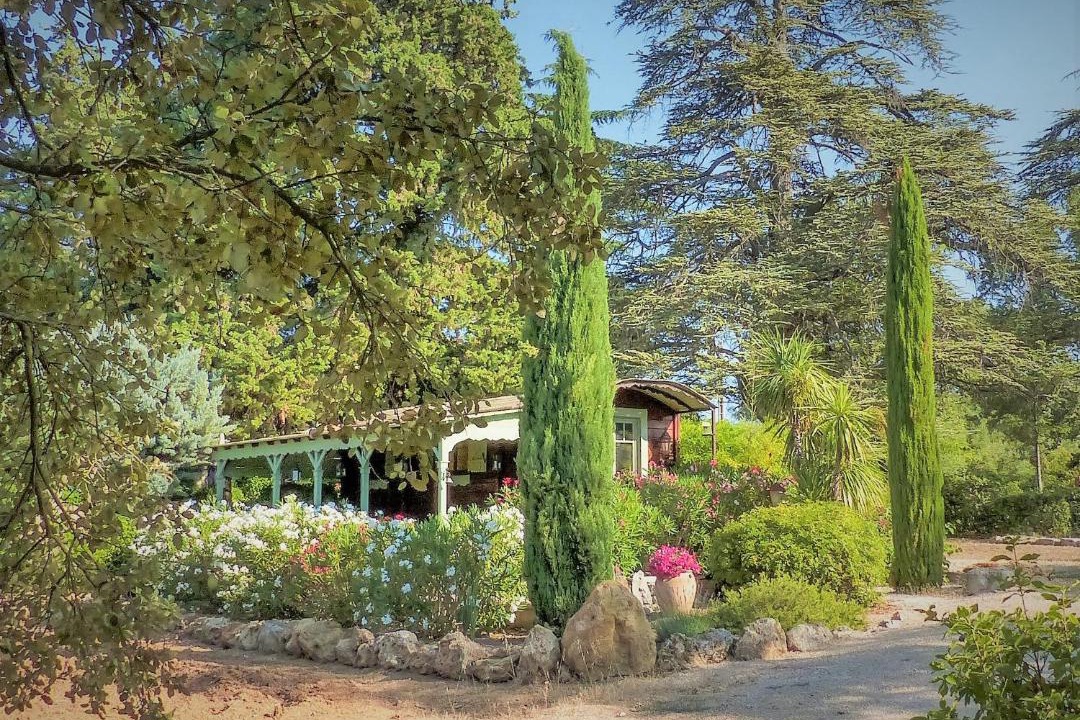 Photo of Others in Saint-Maximin-la-Sainte-Baume