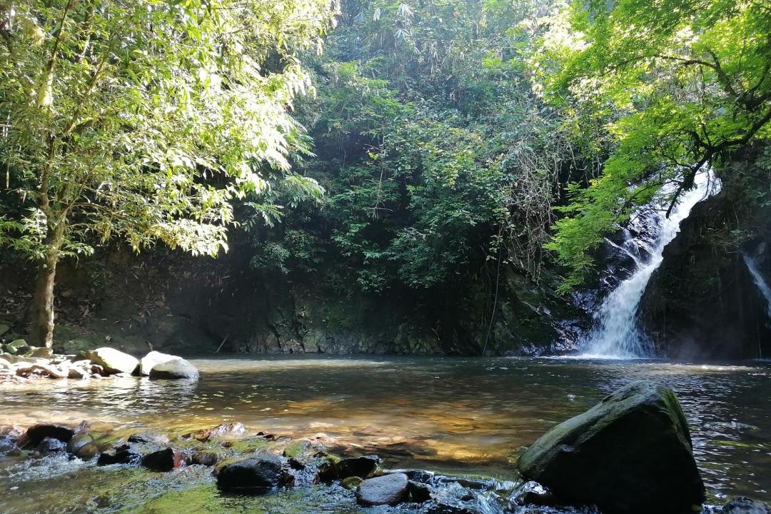 Photo of Others in Temenggor
