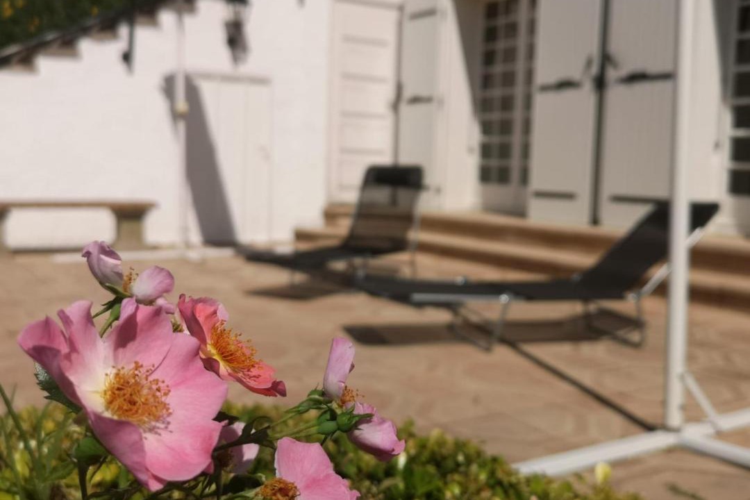 Photo of Others in Chateauneuf-de-Galaure