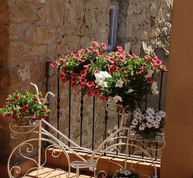 Photo of Patio Balcony in Cervia de Les Garrigues