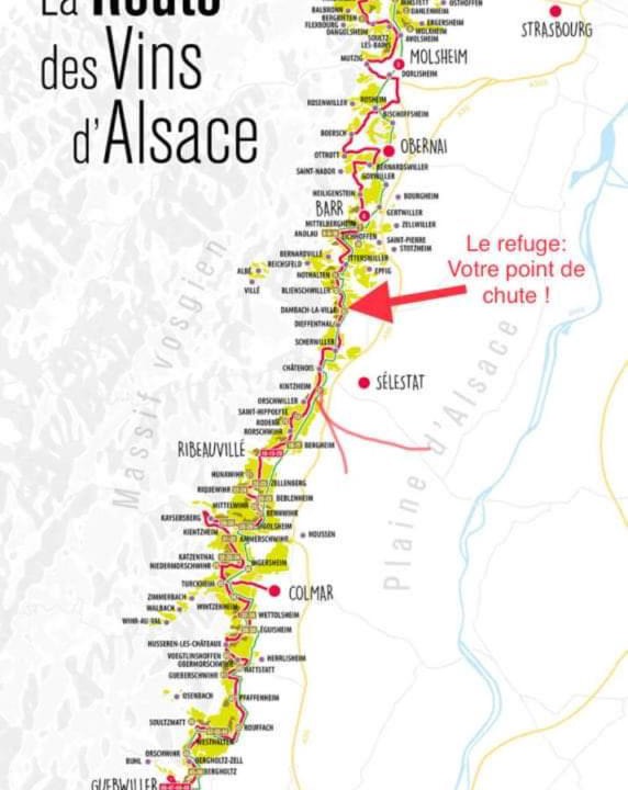 Photo of Others in Dambach-la-Ville