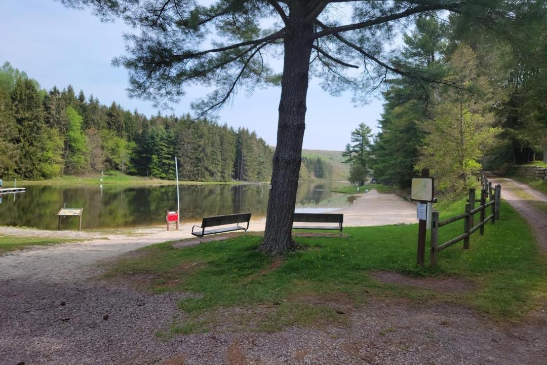 Photo of Others in Swanton