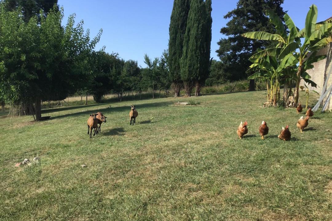 Photo of Others in Vergt