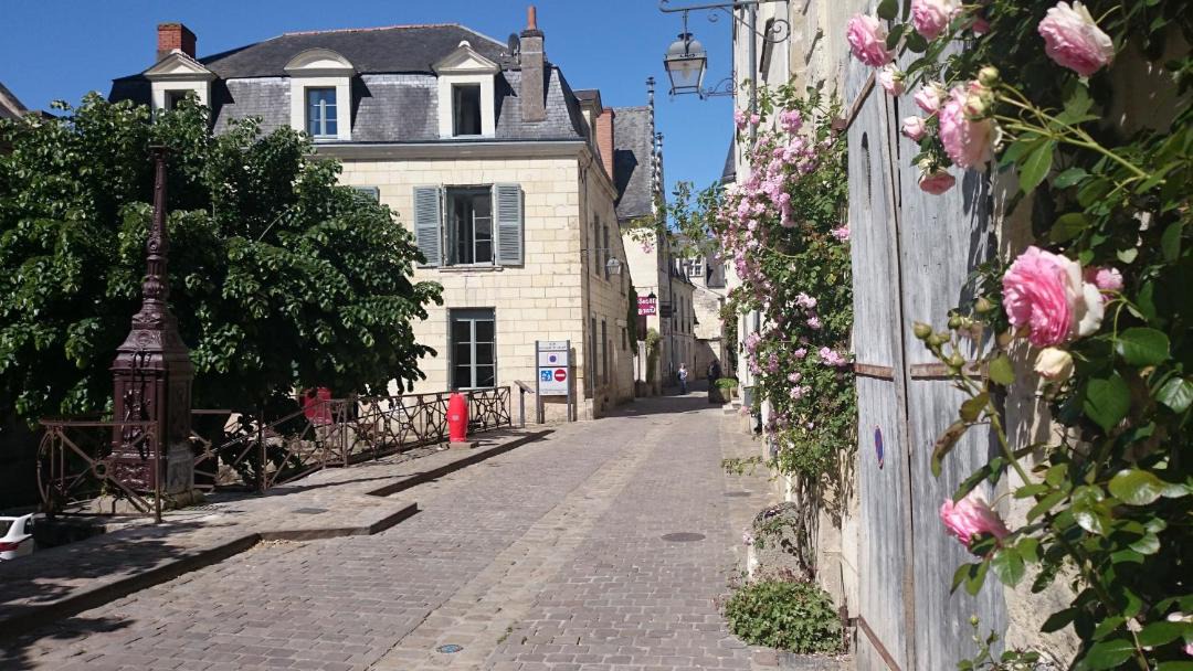 Photo of Others in Chinon