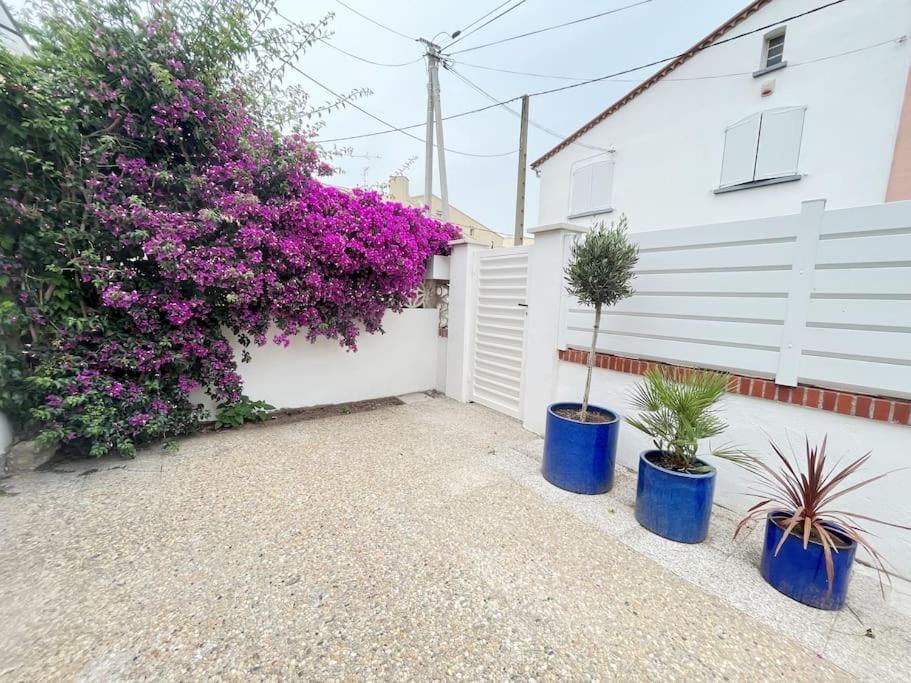 Photo of Others in Canet-Plage