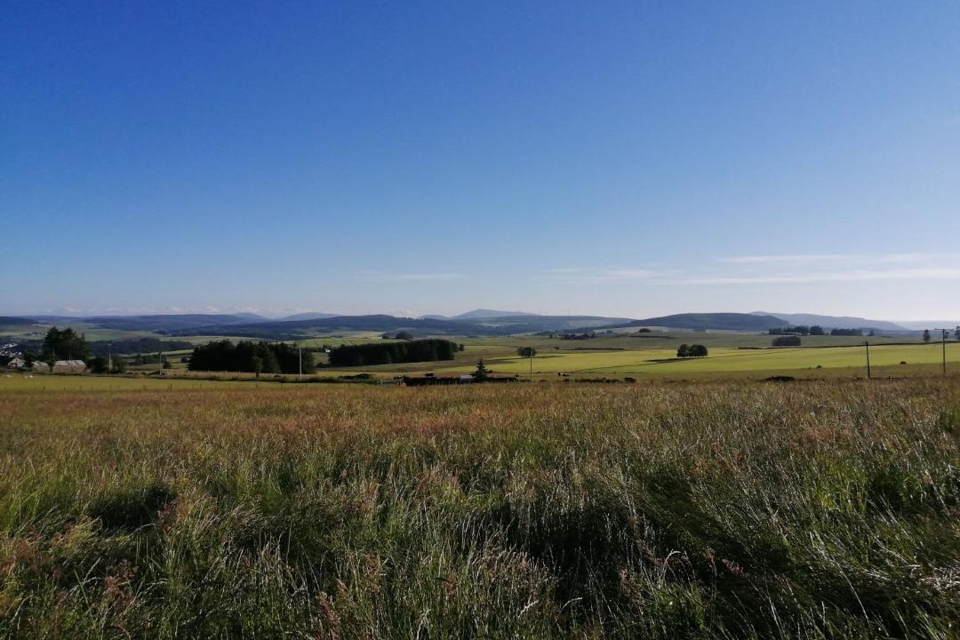 Photo of Others in Keith