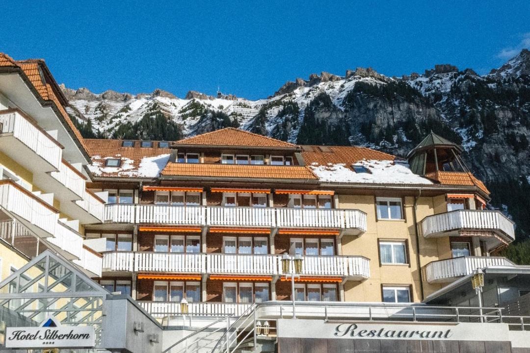 Photo of Others in Wengen