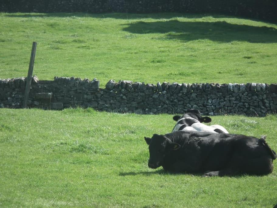 Photo of Others in Alstonfield