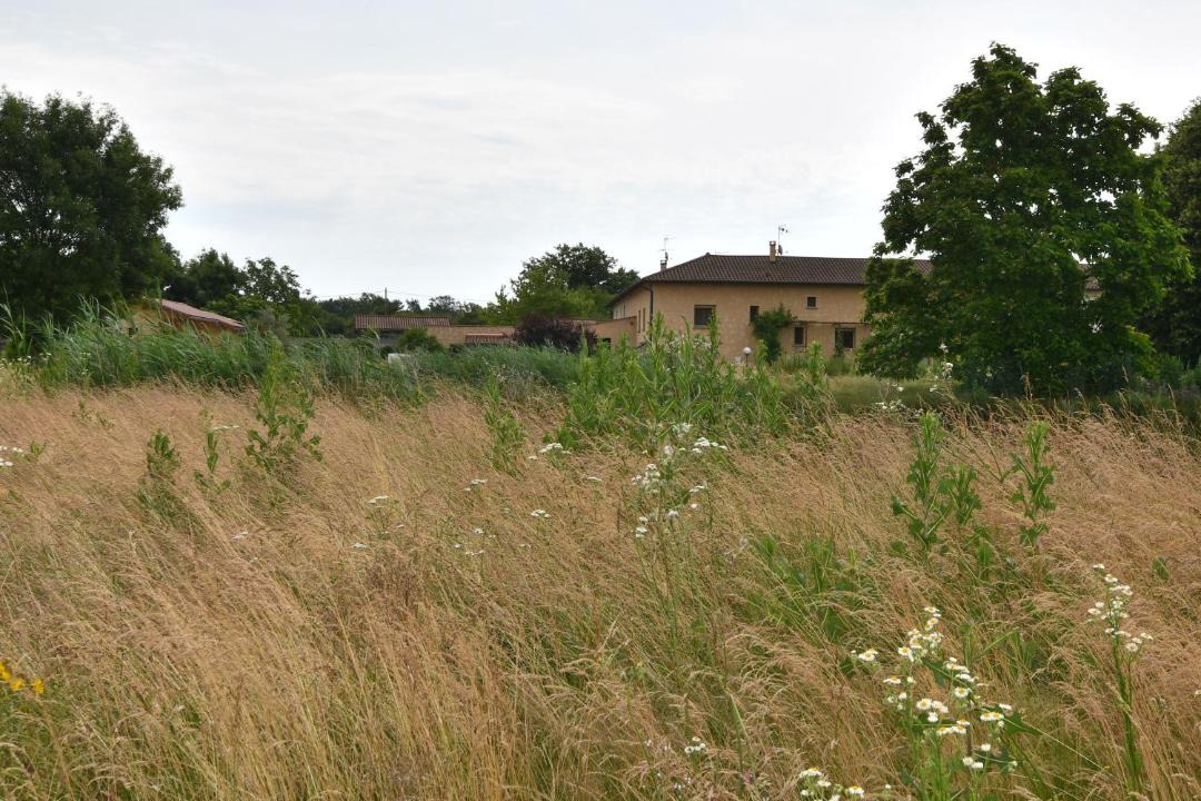 Photo of Others in Saint-Nizier-le-Desert
