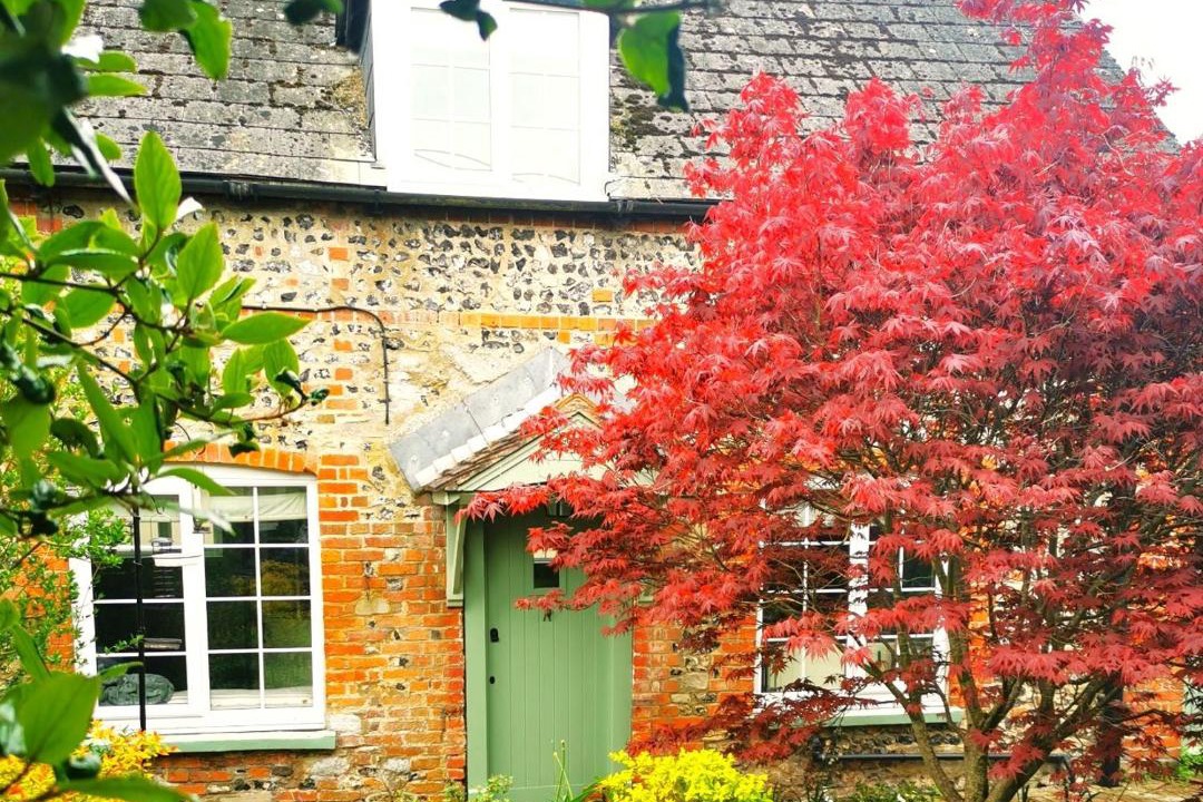 Photo of Buildings in Shrewton