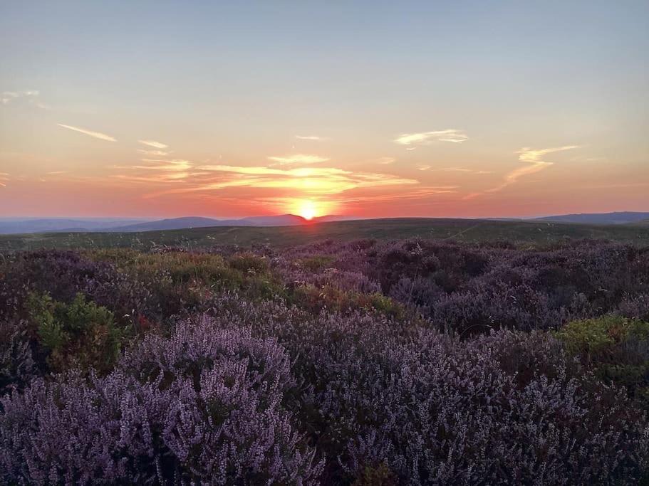 Photo of Others in Acton Scott