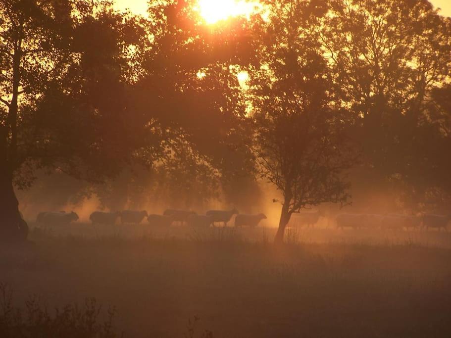 Photo of Others in Acton Scott