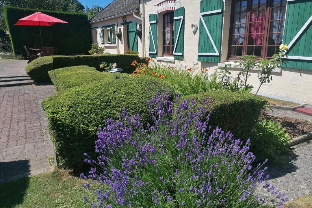 Photo of Others in Longueval