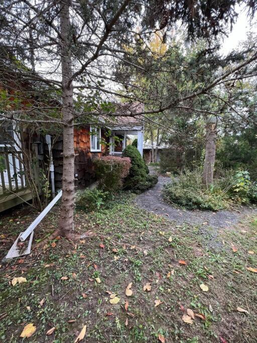 Photo of Others in Town of Jerusalem