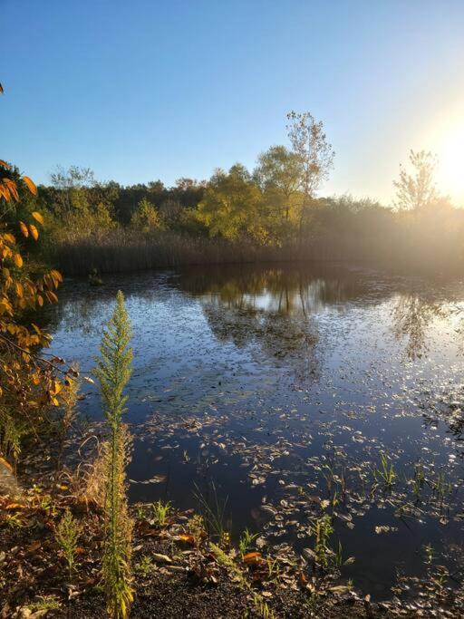 Photo of Others in Town of Jerusalem