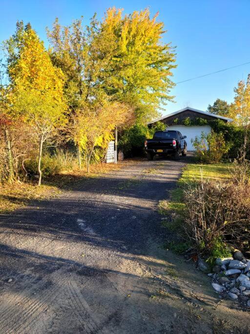Photo of Others in Town of Jerusalem
