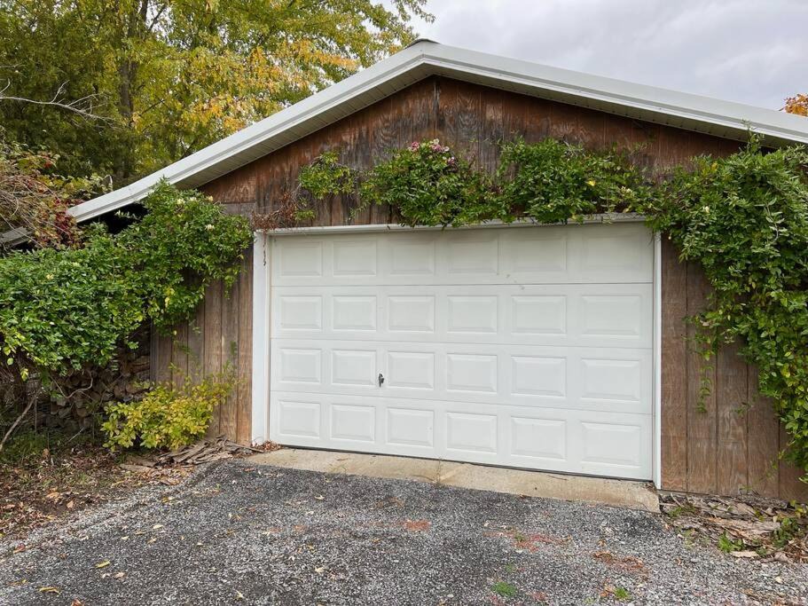 Photo of Others in Town of Jerusalem