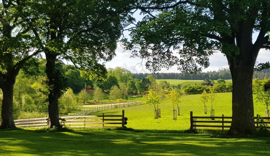 Photo of Others in Rafford