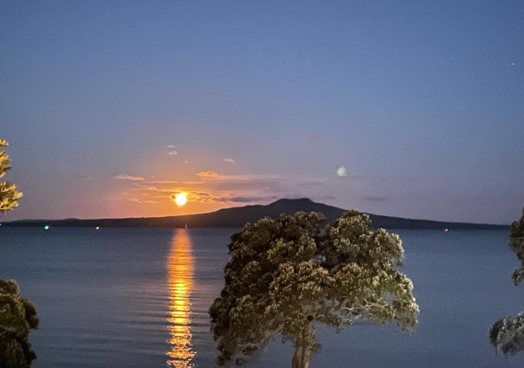 Photo of Others in Devonport