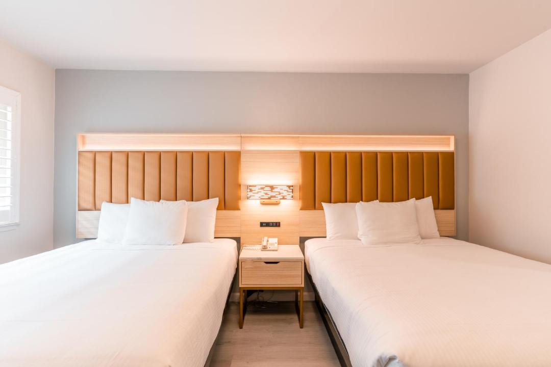 Photo of Others in Pacific Heights