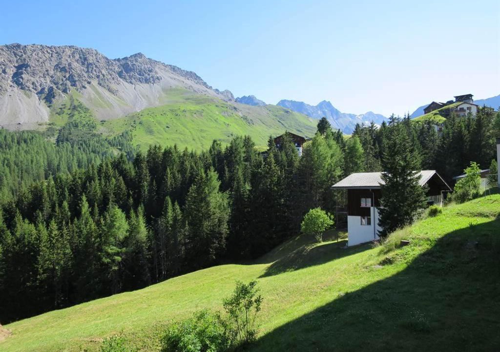 Photo of Others in Arosa