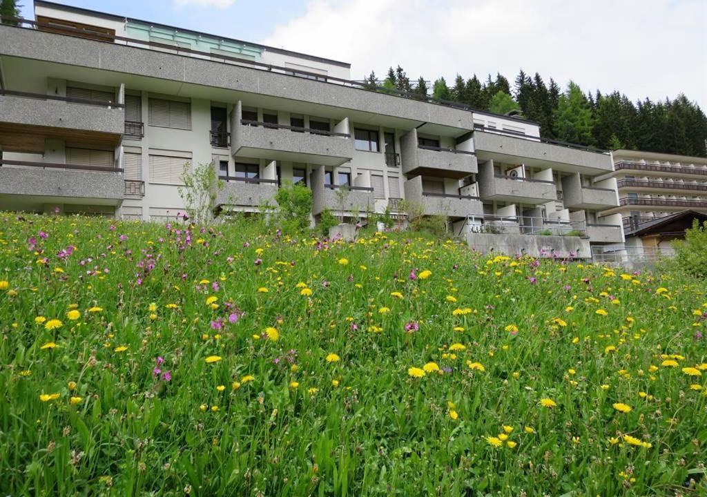 Photo of Others in Arosa