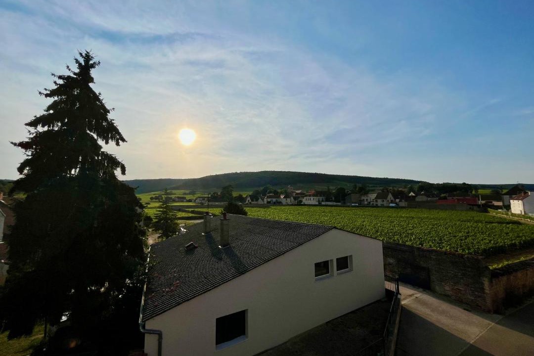 Photo of Others in Gevrey-Chambertin