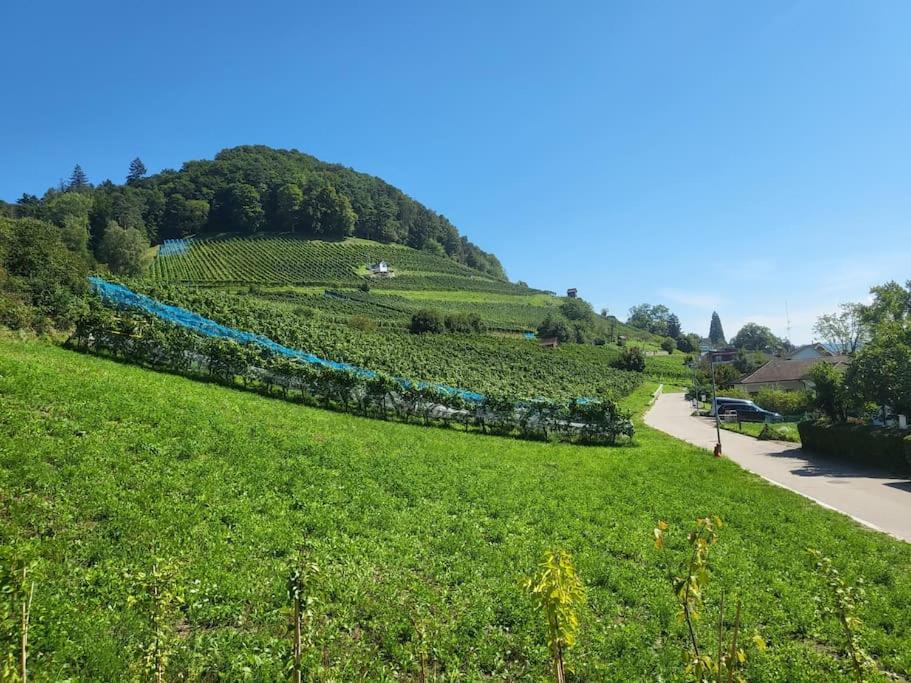 Photo of Others in Stein am Rhein