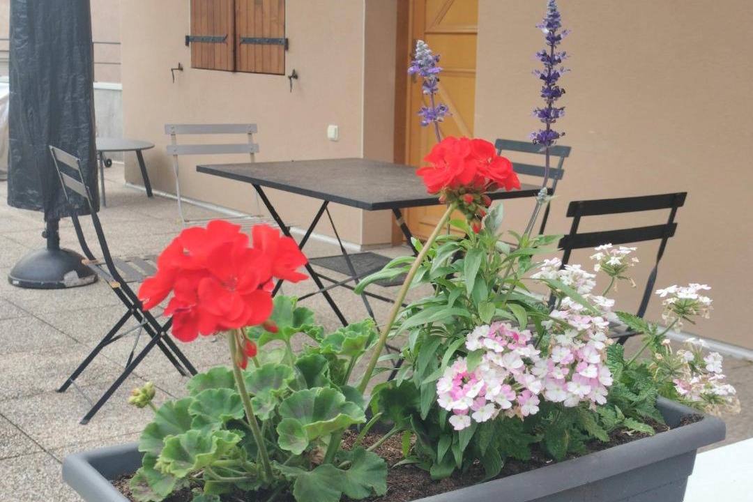 Photo of Others in Tallard