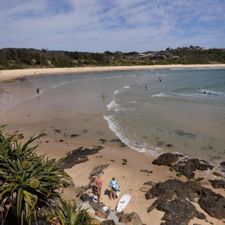 Photo of Others in Scotts Head