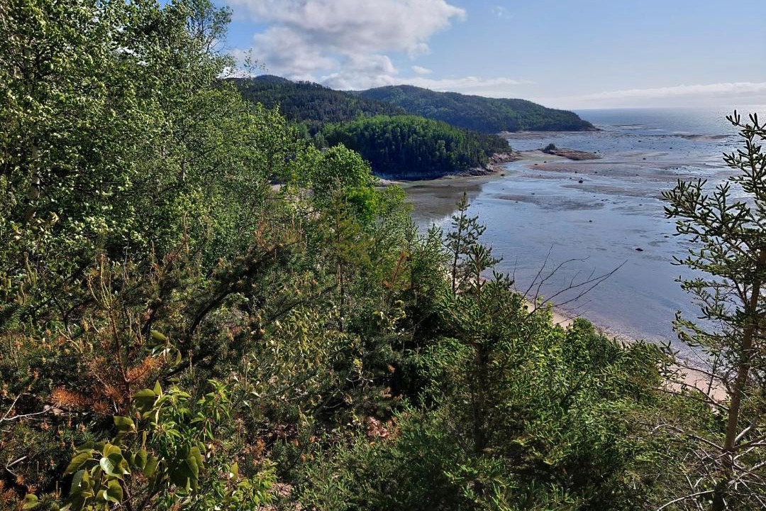 Photo of Others in Tadoussac