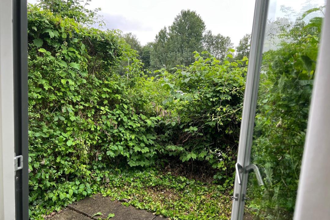 Photo of Others in Aalborg