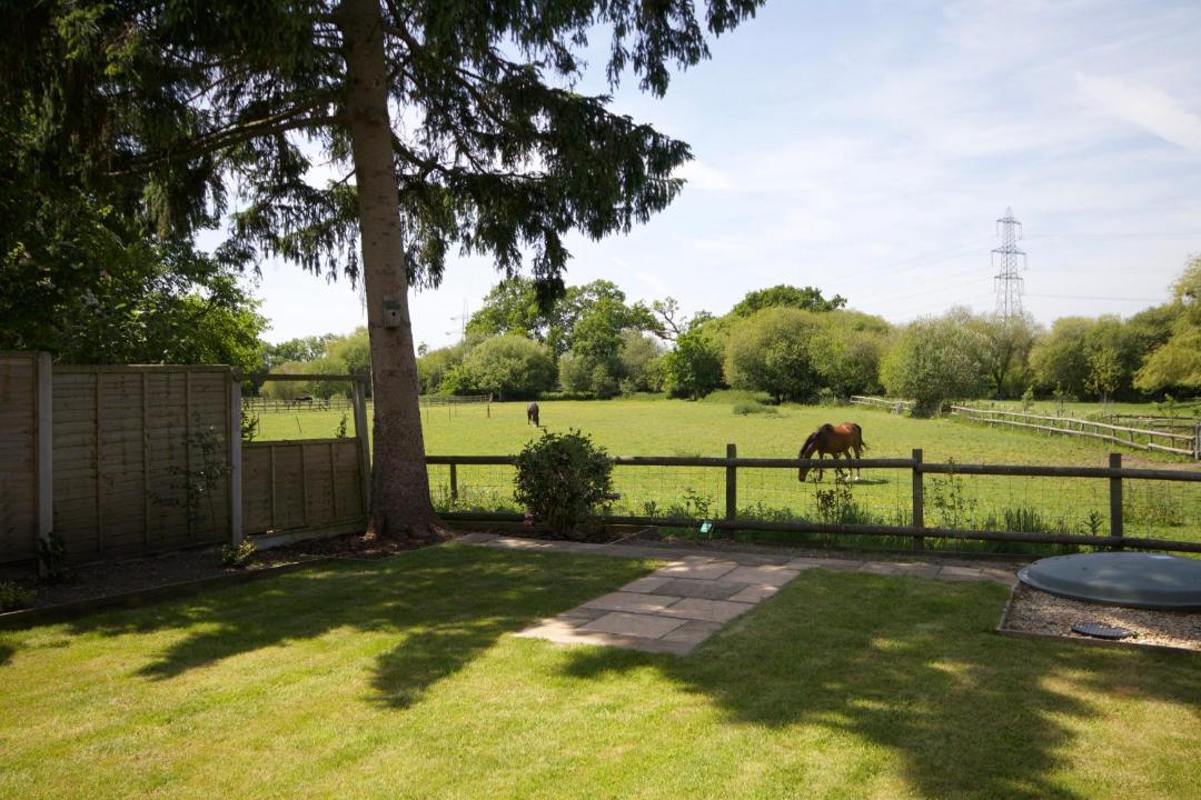 Photo of Others in New Forest District