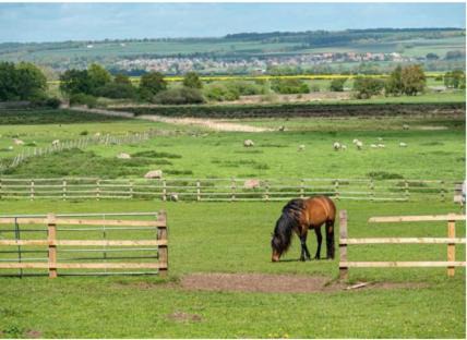 Photo of Others in Staxton