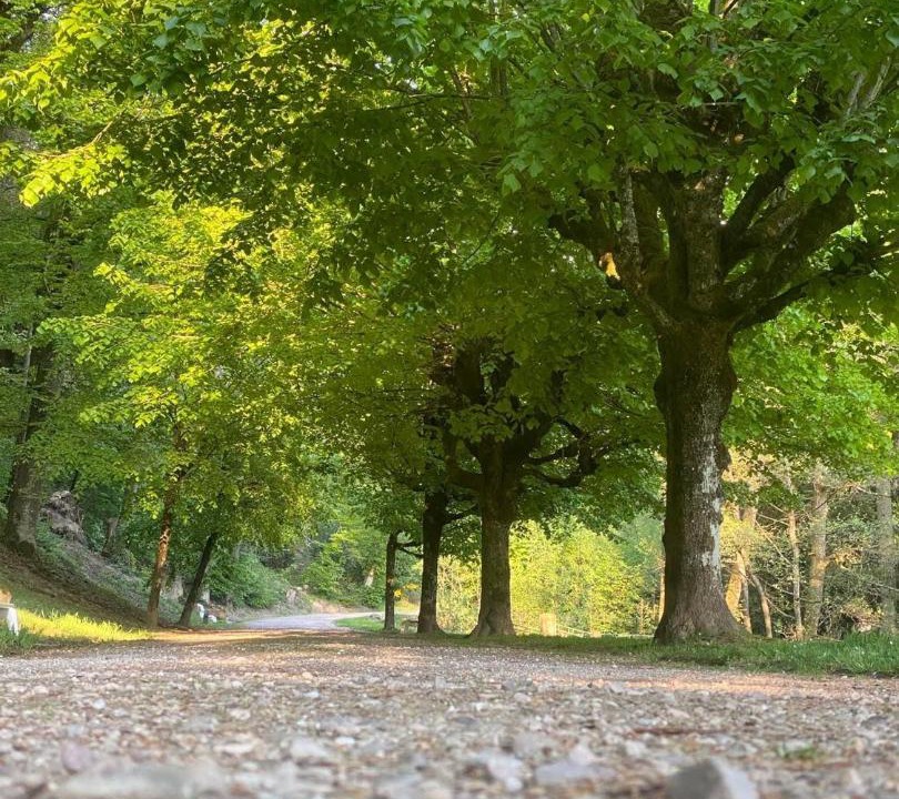 Photo of Others in Forges-les-Bains
