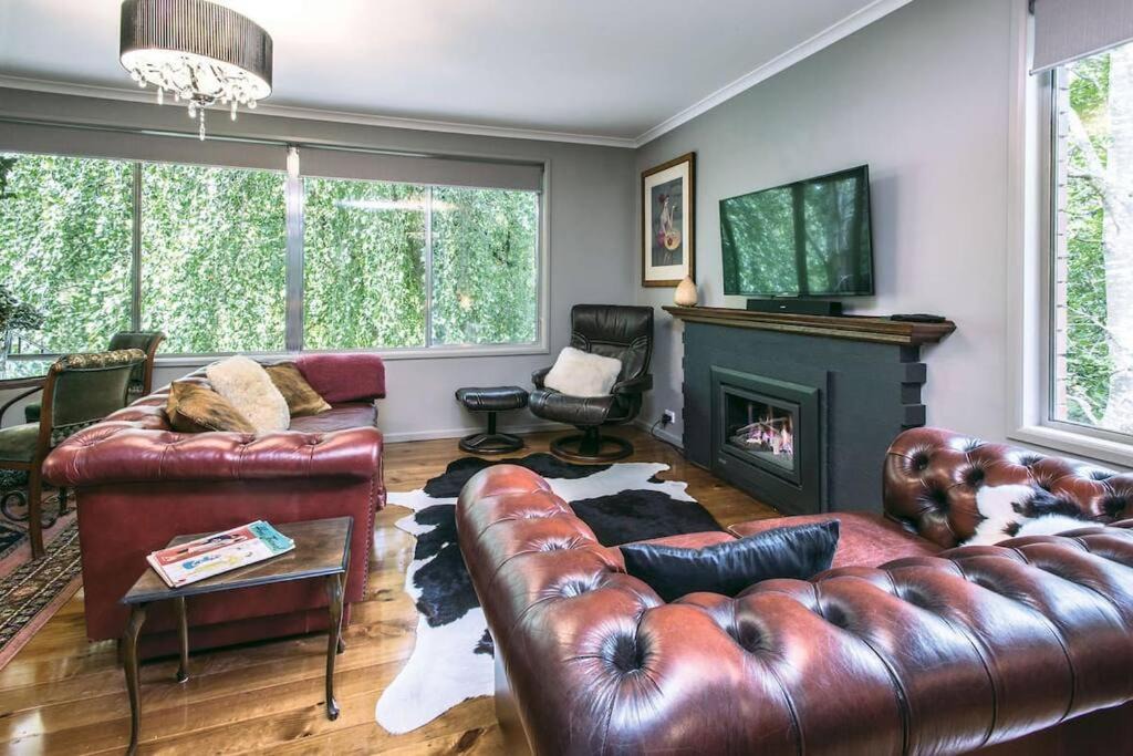 Photo of Livingroom in Olinda