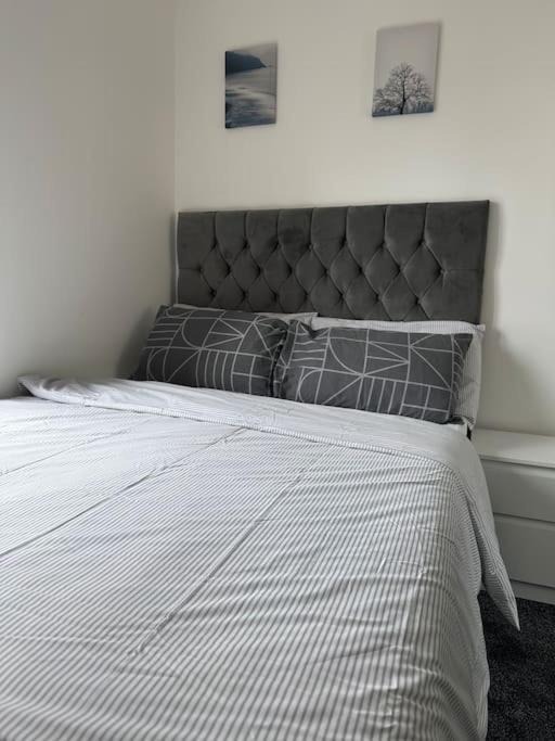 Photo of Others in Belvedere