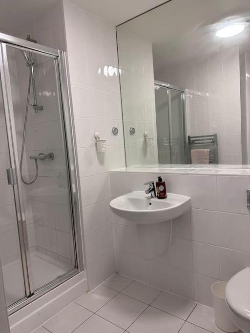 Photo of Others in Belvedere