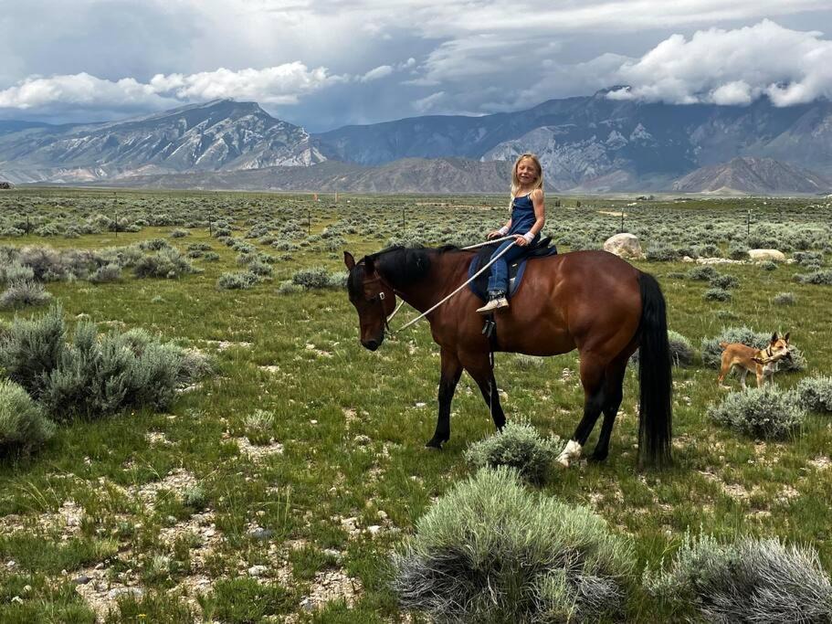 Photo of Others in Clark