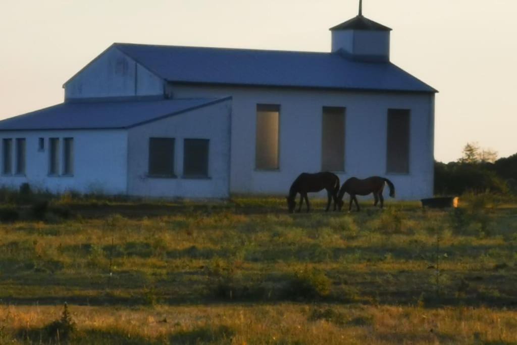 Photo of Buildings in Hageville