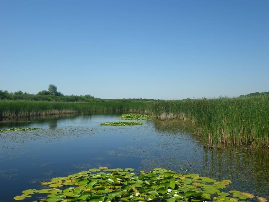 Photo of Others in Hageville