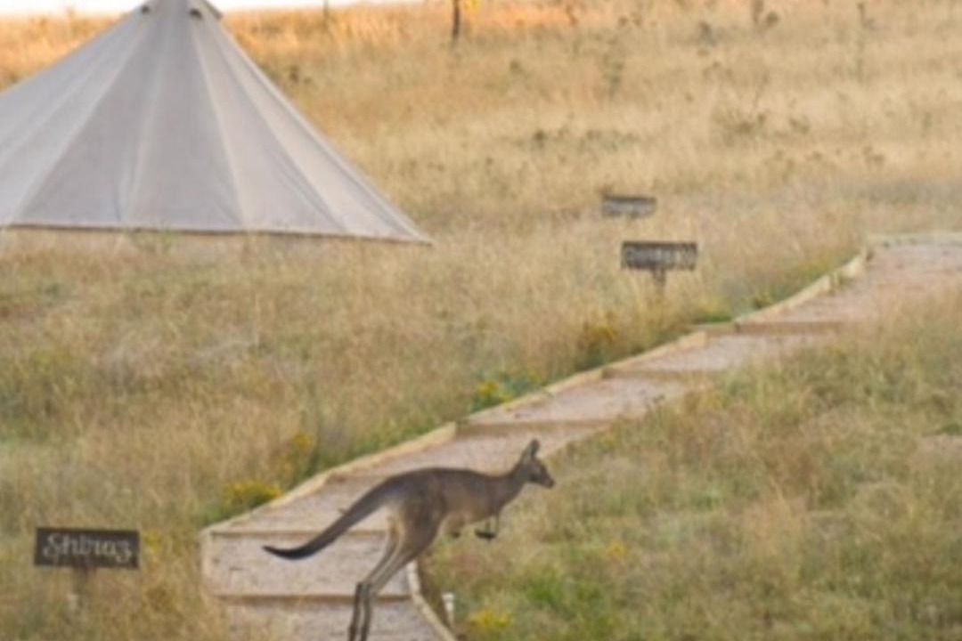 Photo of Others in Windeyer