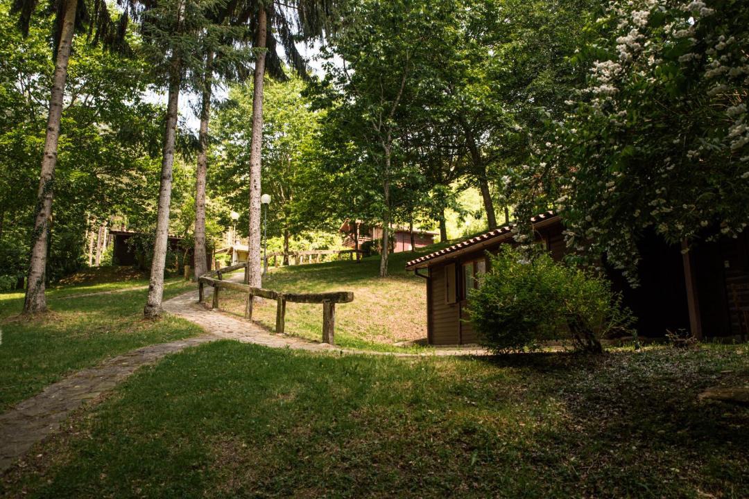Photo of Others in Leintz-Gatzaga