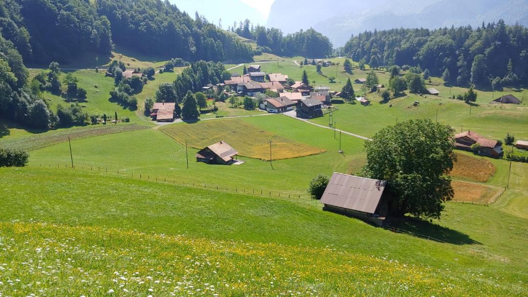 Photo of Others in Meiringen