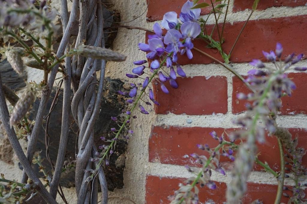 Photo of Others in Le Vast